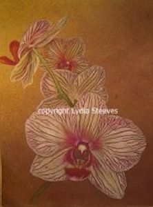 Pam's Petals CP e-Packet